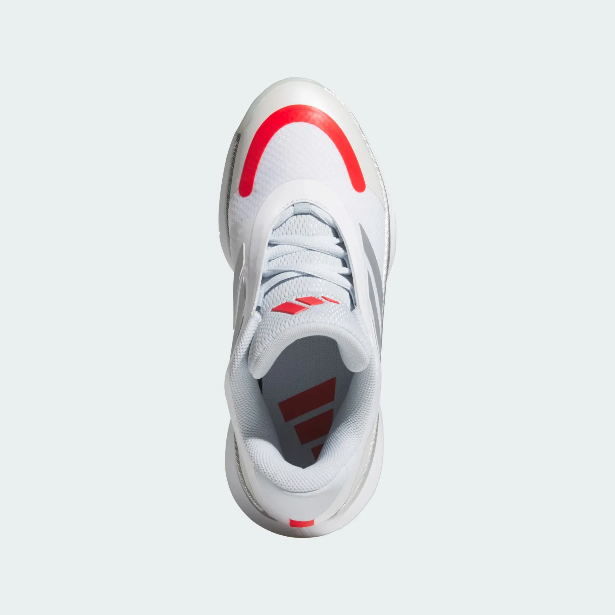 Basketball Legends Low
